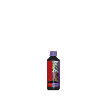 Atami B'cuzz Coco Bloom Stimulator 500 ml