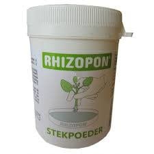 Rhizopon Schneidpulver Grüner Chryzotop 0,25 % 25 Gramm