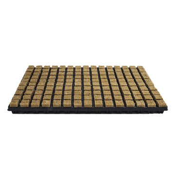 Single Block System (SBS) Cutting Plate 150 Pieces 18 Trays